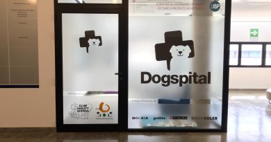 Dogspital im Krankenhaus von Ibiza