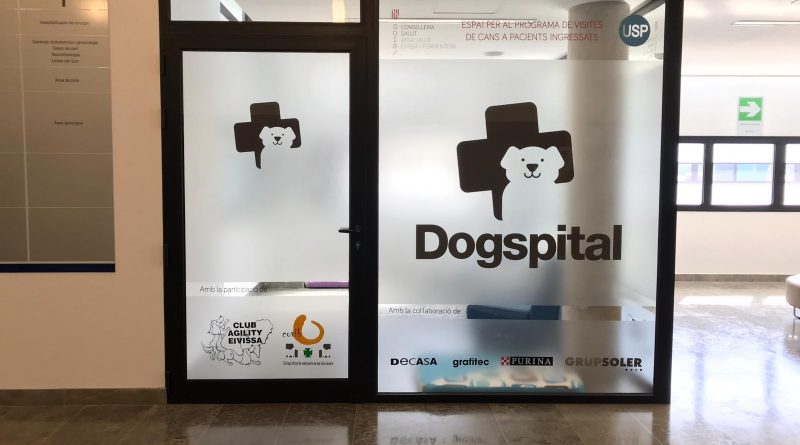 Dogspital im Krankenhaus von Ibiza
