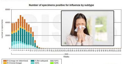 Grippe auf Ibiza: “Keine einzige Virus-Infektion”