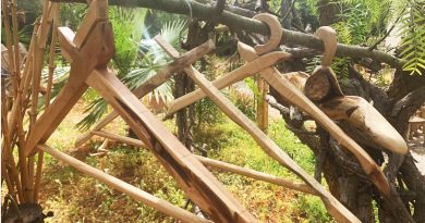 Knorrige Kleiderbügel verströmen Ibiza-Naturduft – Möbeldesigner Pfannenstein verwertet Holzreste sinnvoll