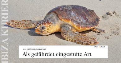 Schildkröten-Securities gesucht – Gehege mit Eiern in Es Cavallet 
