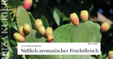 Essbare Kaktusfeigen: Außen stachelig, innen süß – Gegart schmecken die Zweige der Opuntien wie grünen Bohnen