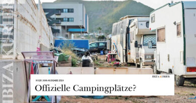 Wohnungsnot: Lieferwagen werden für 1.000 Euro an Arbeiter vermietet – Für einen Camper-Stellplatz werden zwischen 350 und 500 Euro verlangt