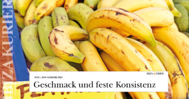 Es gibt jetzt auch Bananen von Ibiza – Die Finca Can Tura kultiviert sie im Gewächshaus
