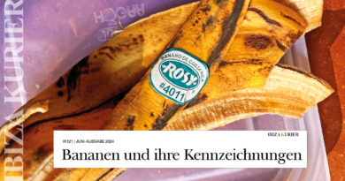 PLU-Codes: Banane ist nicht gleich Banane – Ökologischer Anbau oder gentechnisch verändert? 