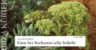 Eroberer der Felsen: Naturwunder Meerfenchel – Resistente Küstenpflanze mit würzigem Geschmack